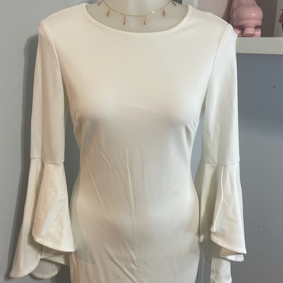 Lulu’s dress - Picture 2 of 5